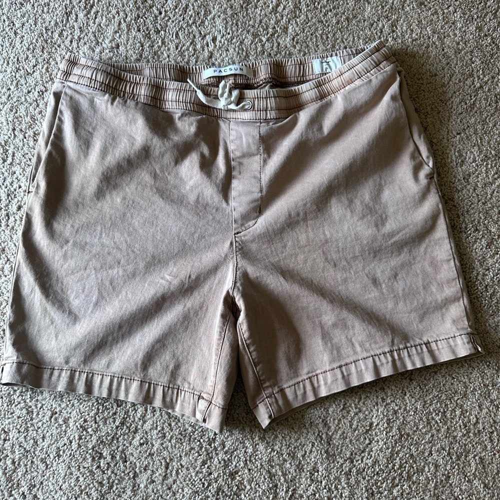 PacSun Volley Shorts (large)